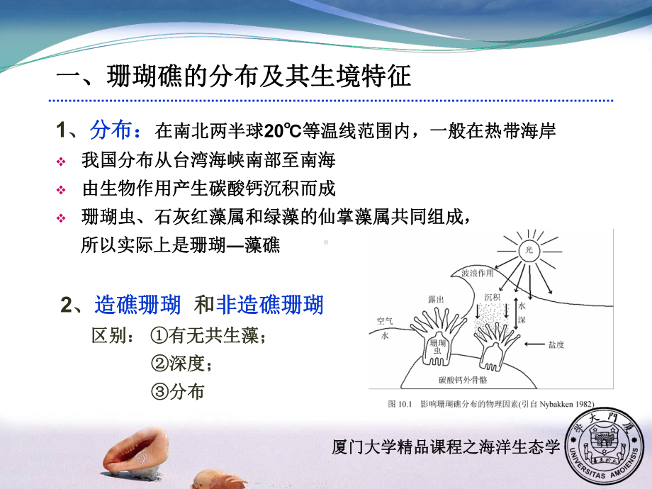 海岸带与浅海生态系统课件.ppt_第3页