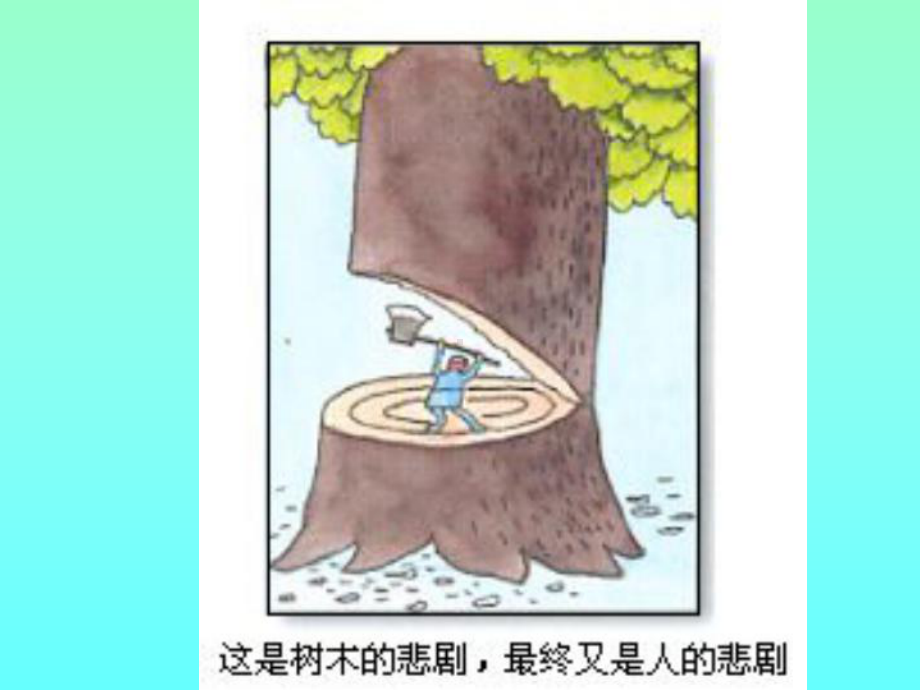 森林的开发和保护-以亚马孙热带雨林为例课件.ppt_第2页