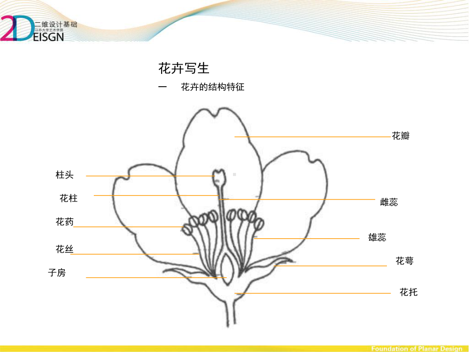 第三章-装饰图案的素材分析课件.ppt_第2页