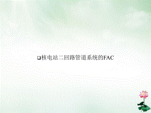 核电站二回路管道系统的FAC课件.ppt