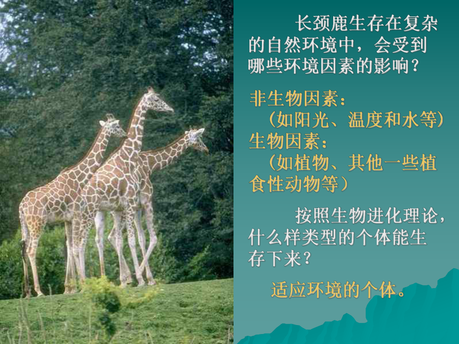 生物对环境的适应和影响课件.ppt_第1页