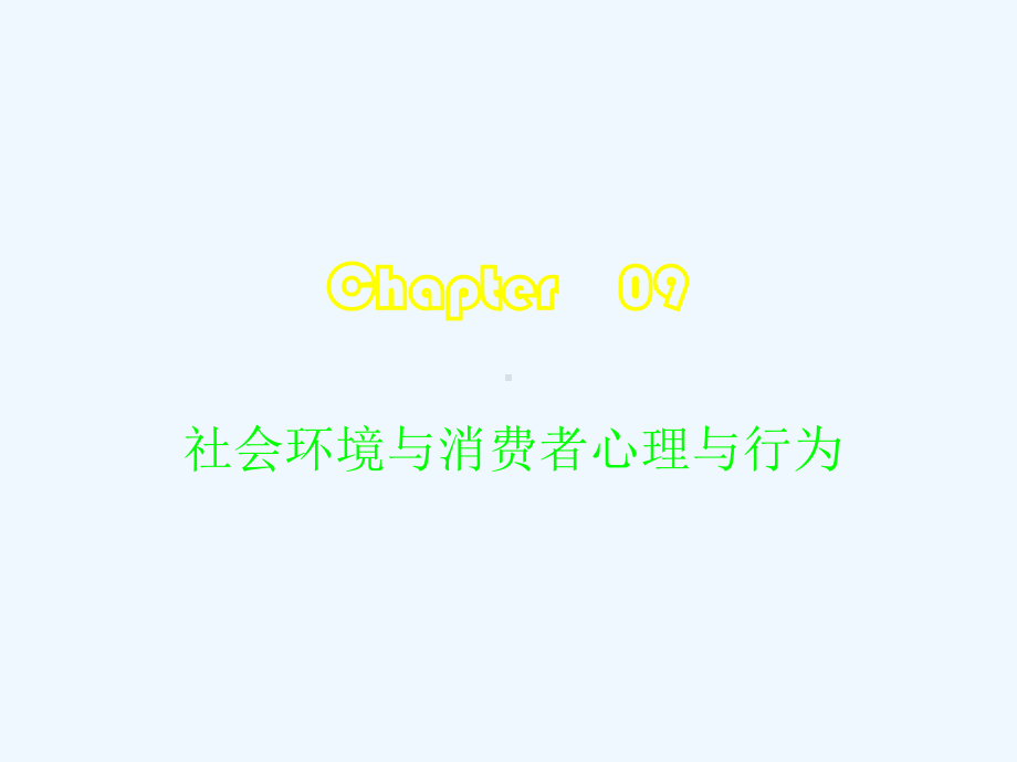 社会环境与消费者心理与行为培训讲座课件.ppt_第2页