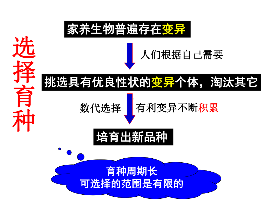 杂交育种与诱变育种教学重点课件.ppt_第3页