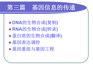 第11章-核酸的生物合成课件.ppt