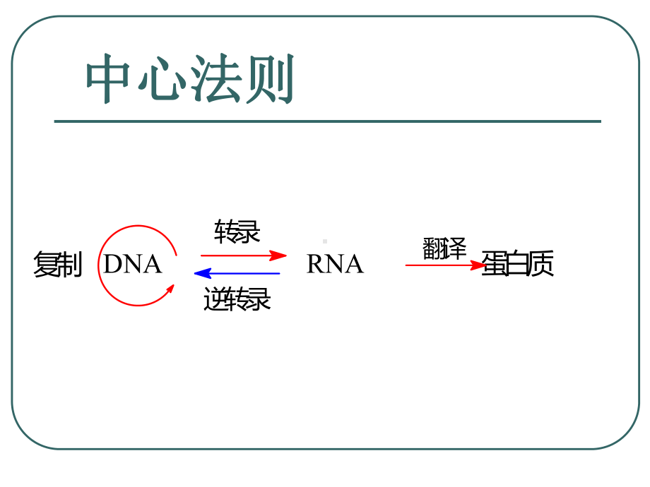 第11章-核酸的生物合成课件.ppt_第2页