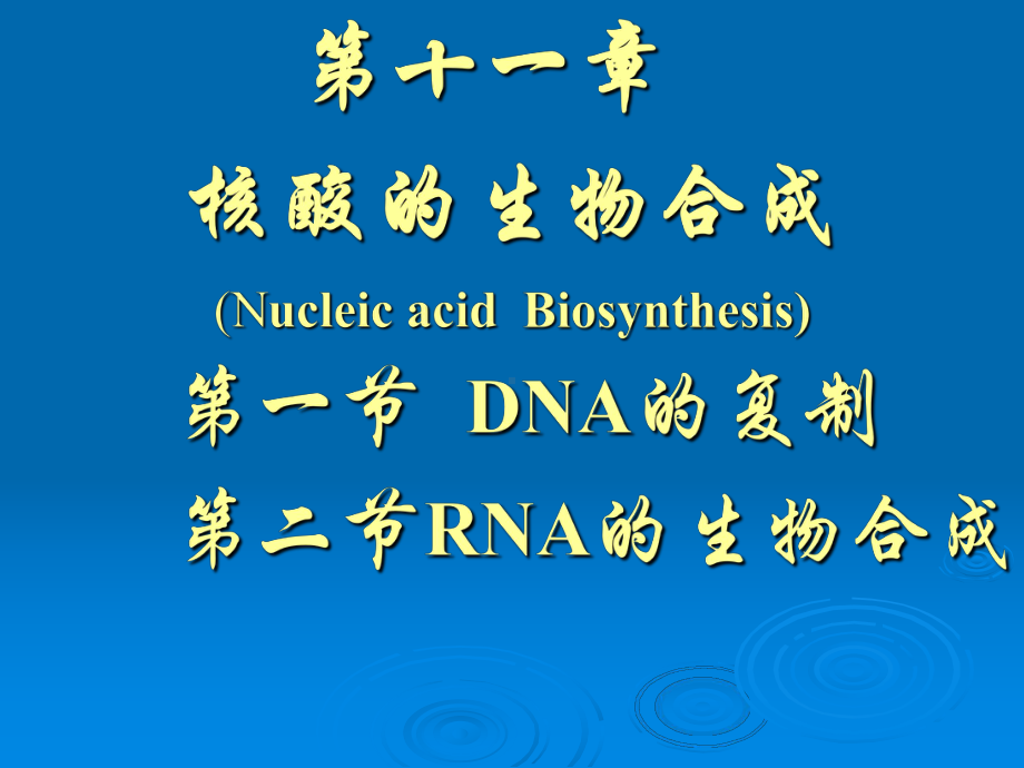 第11章-核酸的生物合成课件.ppt_第3页