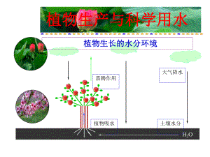 植物生产与科学用水课件.ppt