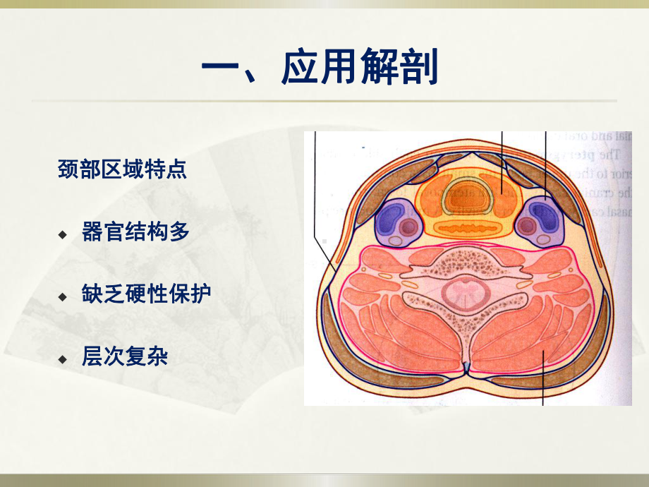 气管切开术精要课件.ppt_第2页