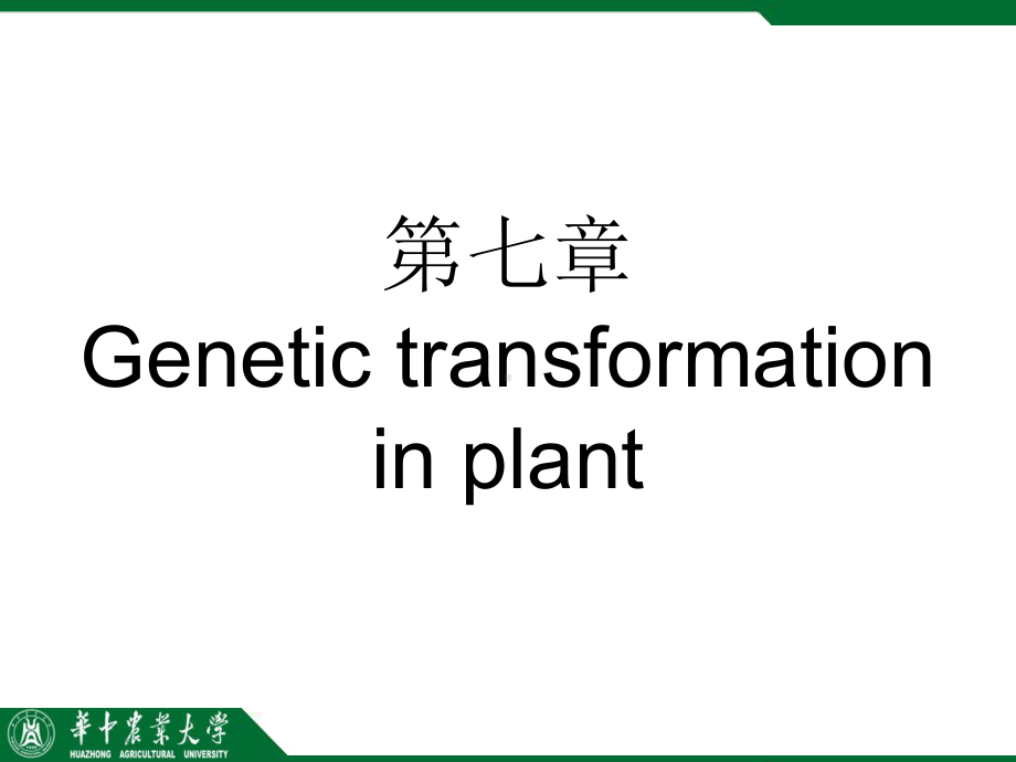 植物基因转化的受体课件.ppt_第1页