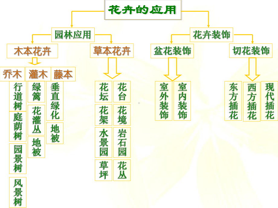 第五章-花卉的应用-园艺概论讲义课件.ppt_第3页