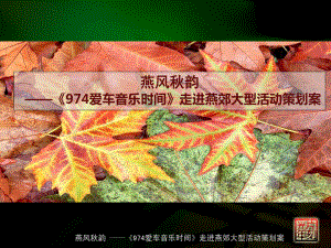 爱车音乐时间走进燕郊大型活动策划案课件.ppt