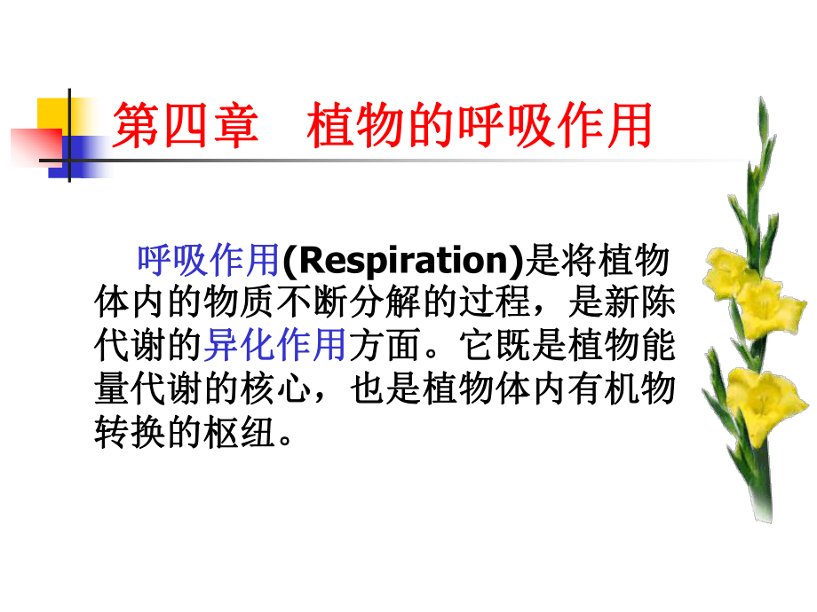 植物生理学-第4-1章-章呼吸作用课件.ppt_第1页