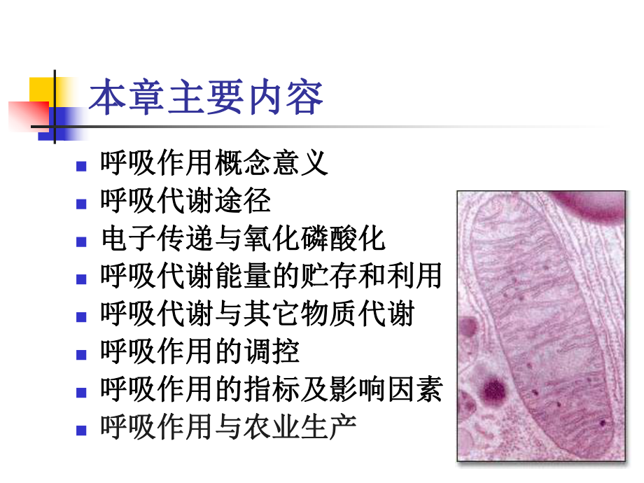 植物生理学-第4-1章-章呼吸作用课件.ppt_第2页