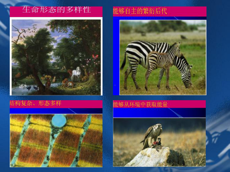 生物物质及代谢糖-PPT精选课件.ppt_第3页