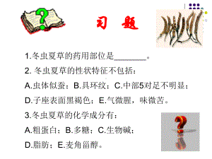 生药学植物类生药ppt课件.ppt