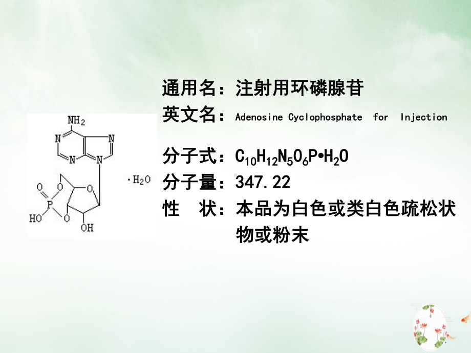 环磷腺苷产品知识ppt课件.ppt_第3页