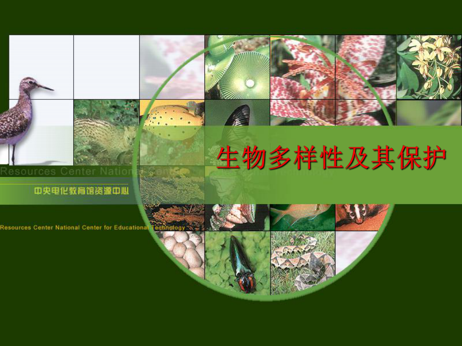 生物多样性及其保护ppt5-优秀课件.ppt_第1页