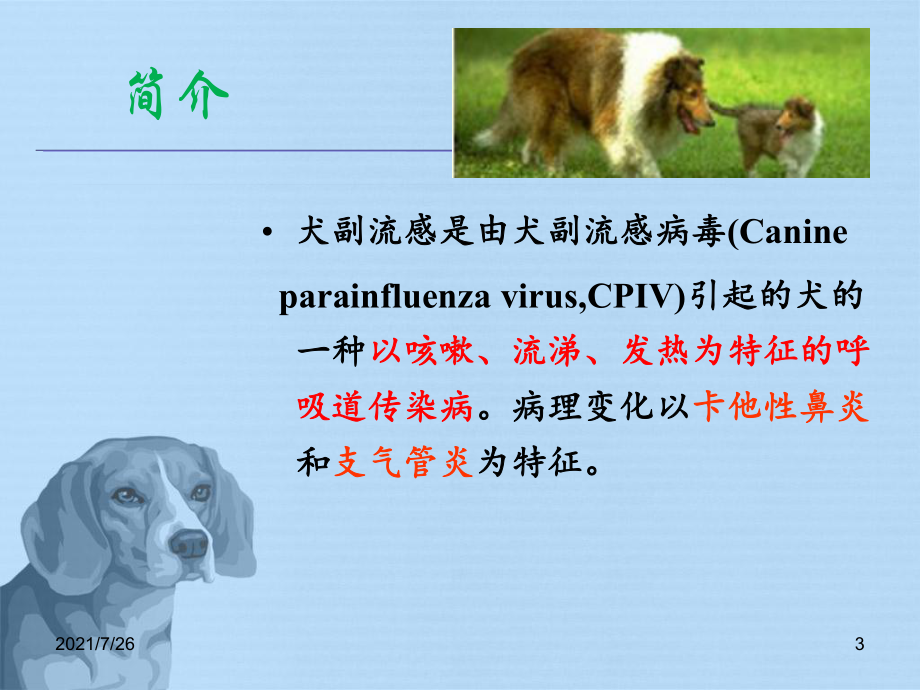 犬副流感课件.ppt_第3页