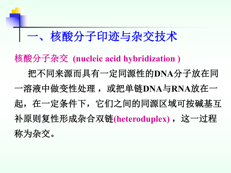 生化21常用分子生物学技术的原理及应用课件.ppt_第3页