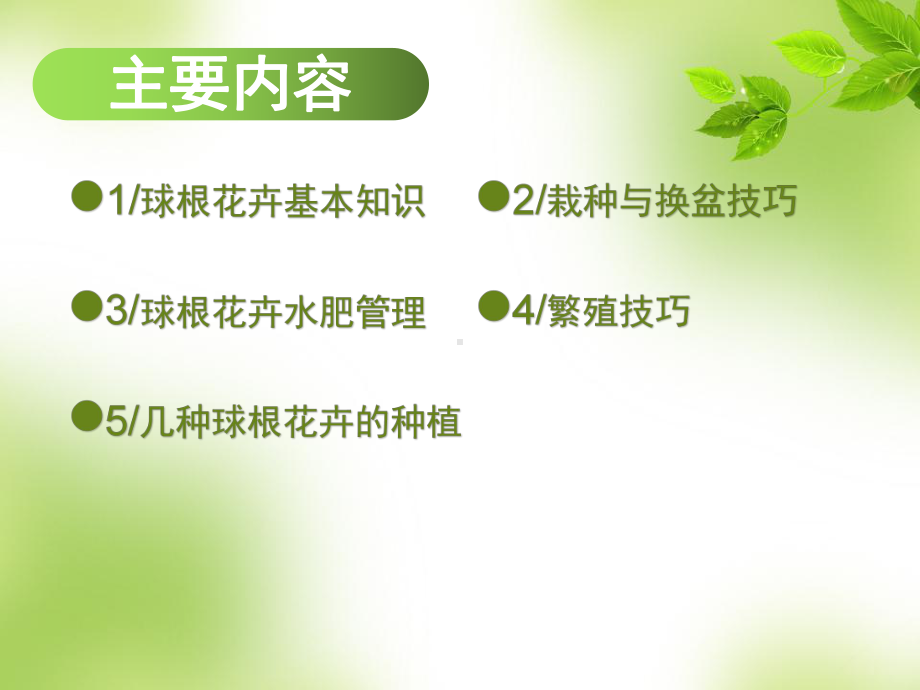 球根花卉栽培指南ppt课件.ppt_第3页