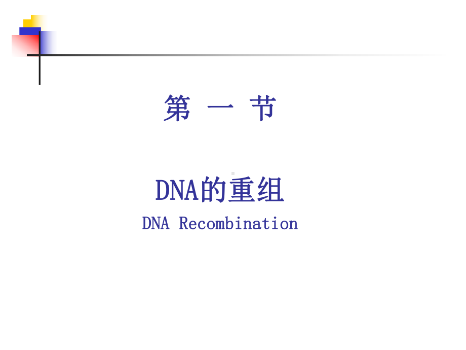 第14章基因工程课件.ppt_第3页