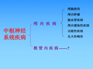 脊髓肿瘤-教学课件.ppt