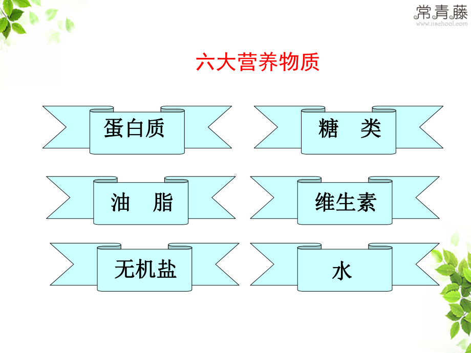 课题1人类重要的营养物质课件.ppt_第3页