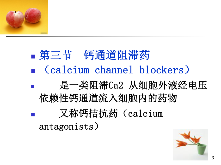 离子通道概论及钙通道阻滞药课件.ppt_第3页