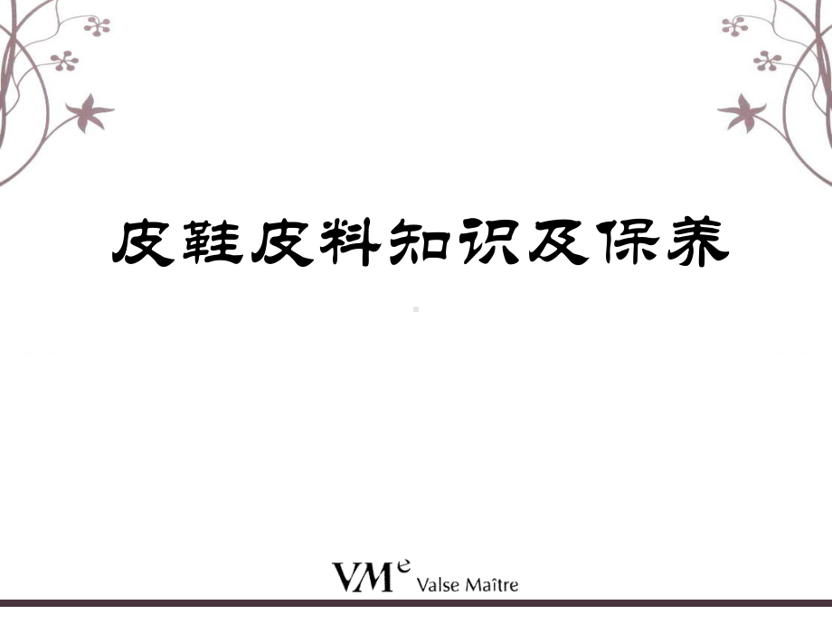 皮鞋皮料知识及保养-共43页课件.ppt_第1页