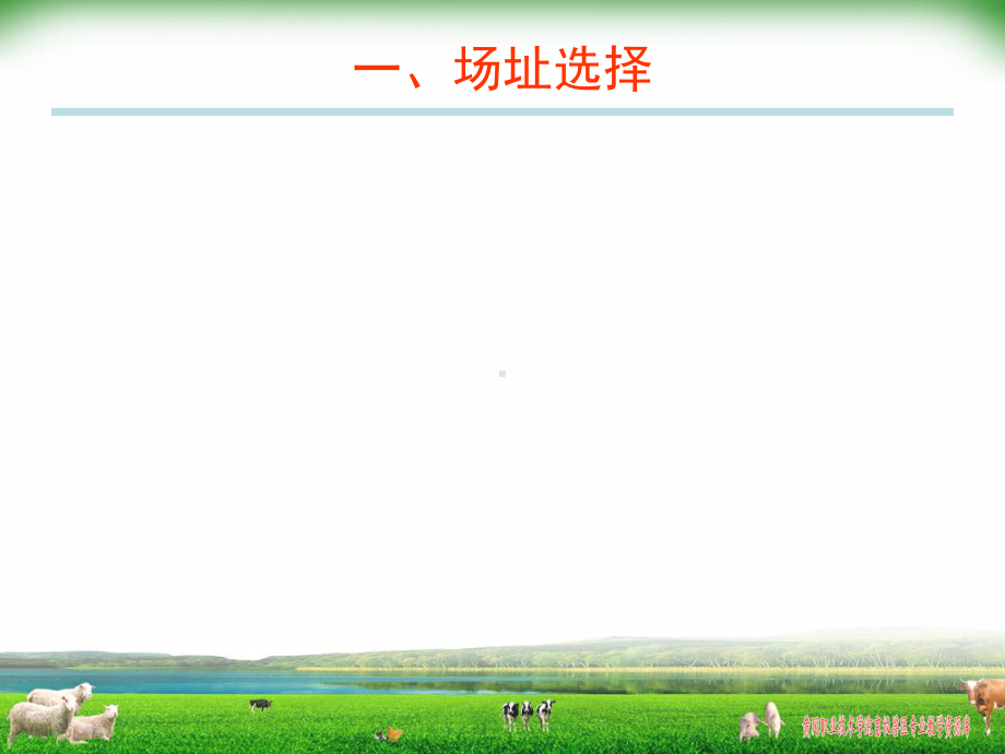 蛋鸡饲养管理技术讲座课件.ppt_第3页