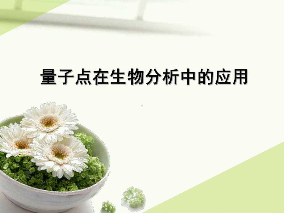 量子点在生物分析中的应用课件.ppt_第1页