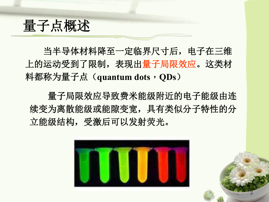 量子点在生物分析中的应用课件.ppt_第2页