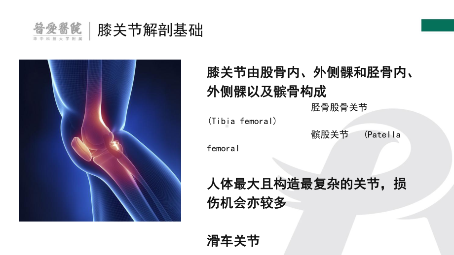 膝关节解剖基础与常见疾病诊疗-课件.ppt_第3页