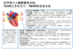 经导管介入瓣膜置换TAVR市场规模及格局分析课件.pptx