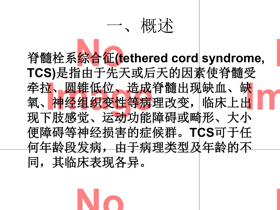 脊髓栓系综合征讲课课件.ppt_第2页