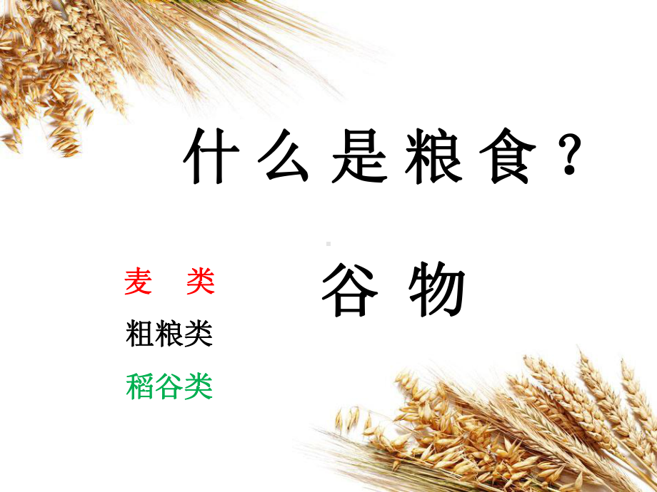 节粮爱粮主题班会-课件.ppt_第3页