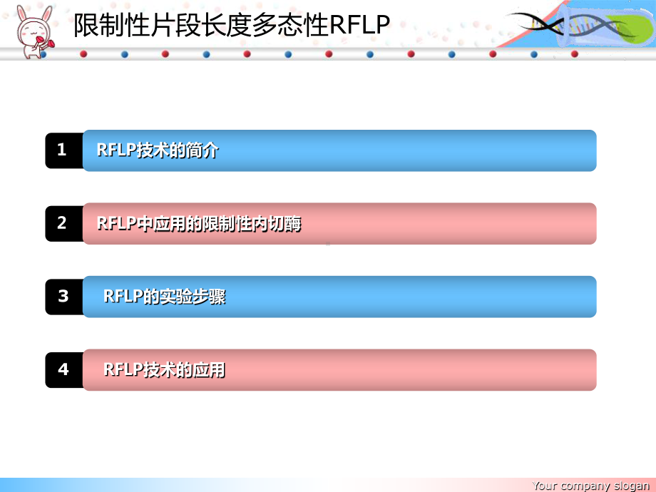 限制性片段长多态性-RFLP课件.ppt_第2页