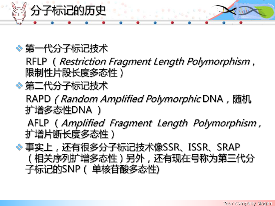 限制性片段长多态性-RFLP课件.ppt_第3页