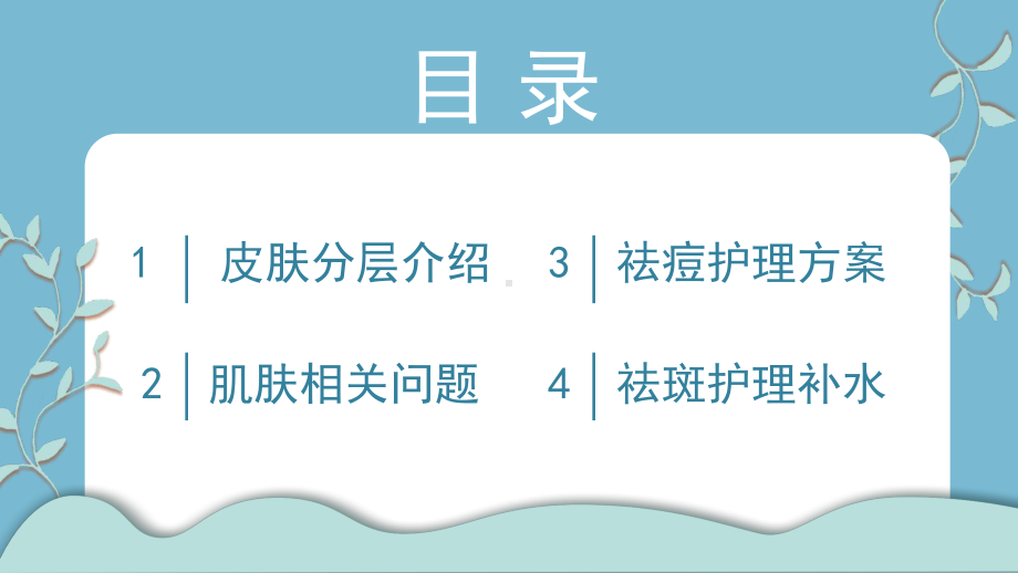 美容护肤皮肤分层肌肤问题及补水护理方案PPT模板.pptx_第2页