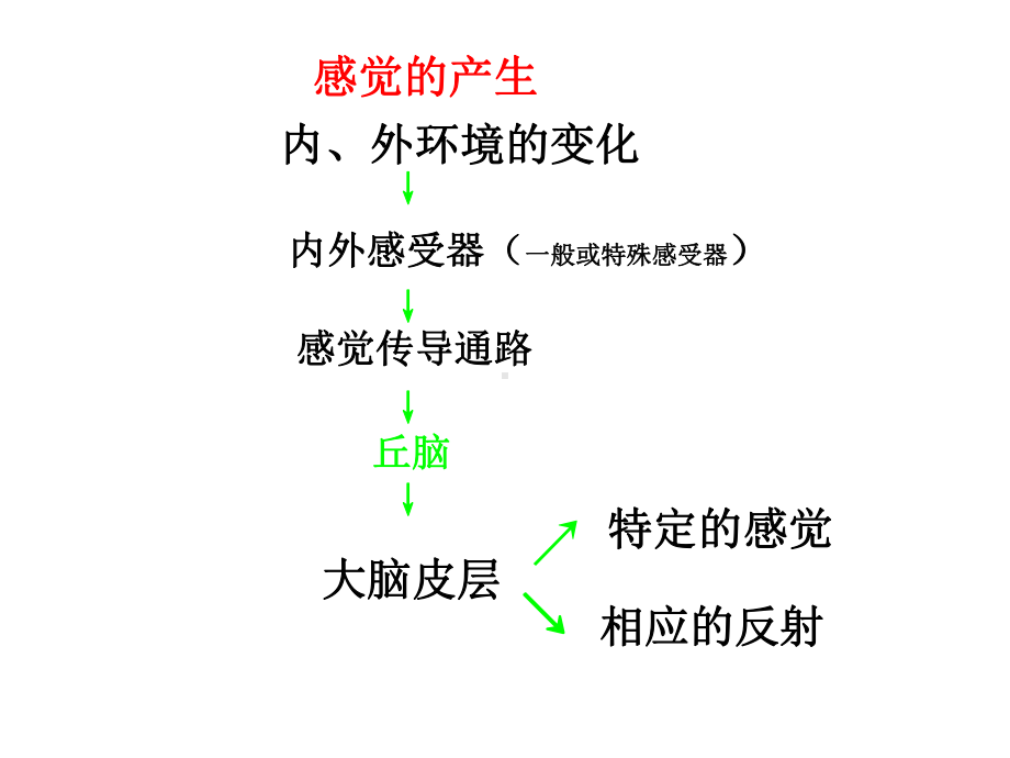 生理学神经系统功能二课件.ppt_第2页