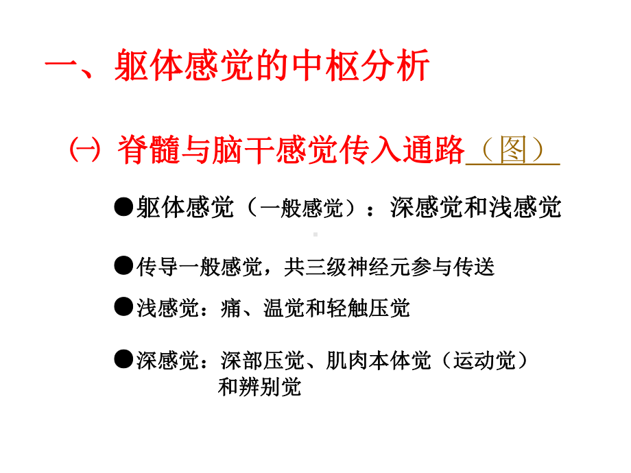 生理学神经系统功能二课件.ppt_第3页