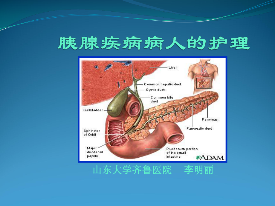 胰腺疾病病人的护理课件.ppt_第1页