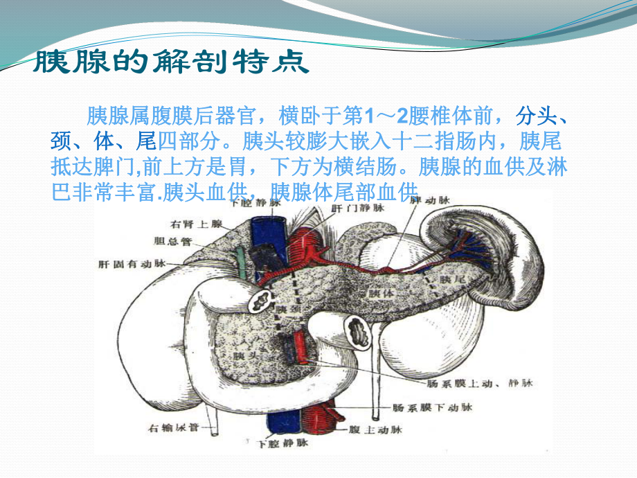 胰腺疾病病人的护理课件.ppt_第3页