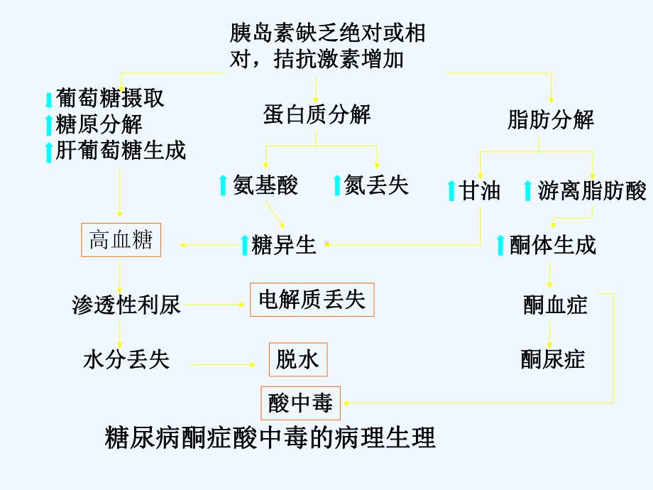 糖尿病并发症筛查与防治[可修改版ppt]课件.ppt_第3页