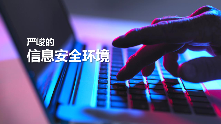 用友NC一体化信息安全解决方案(NC系统安全管理解决方案).pptx_第2页