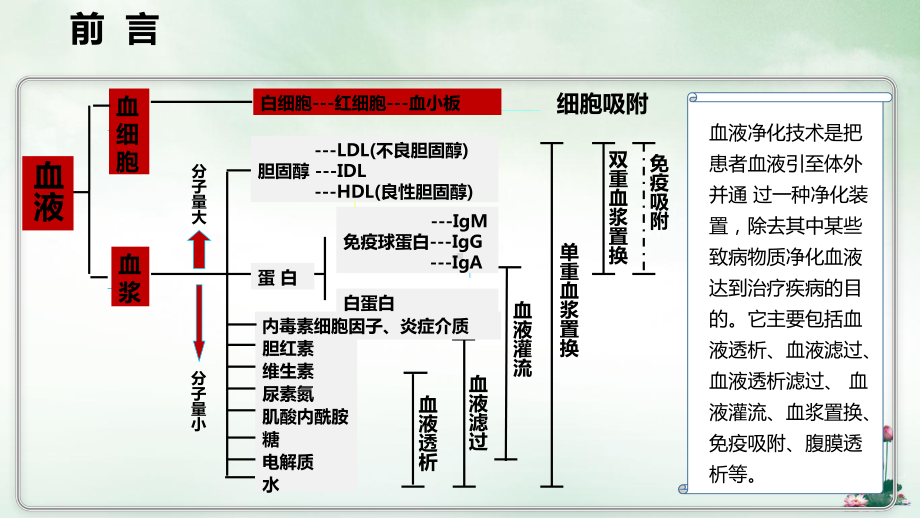 血浆置换课件PPT.pptx_第2页