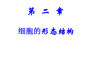 细胞的形态结构课件.ppt