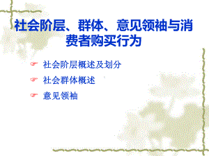 社会阶层、群体、意见领袖与消费者购买行为课件.ppt