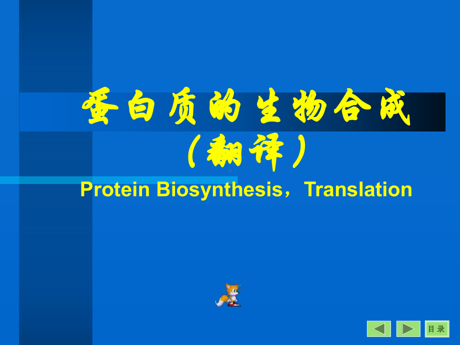 生物化学蛋白质的生物合成翻译PT课件.ppt_第1页