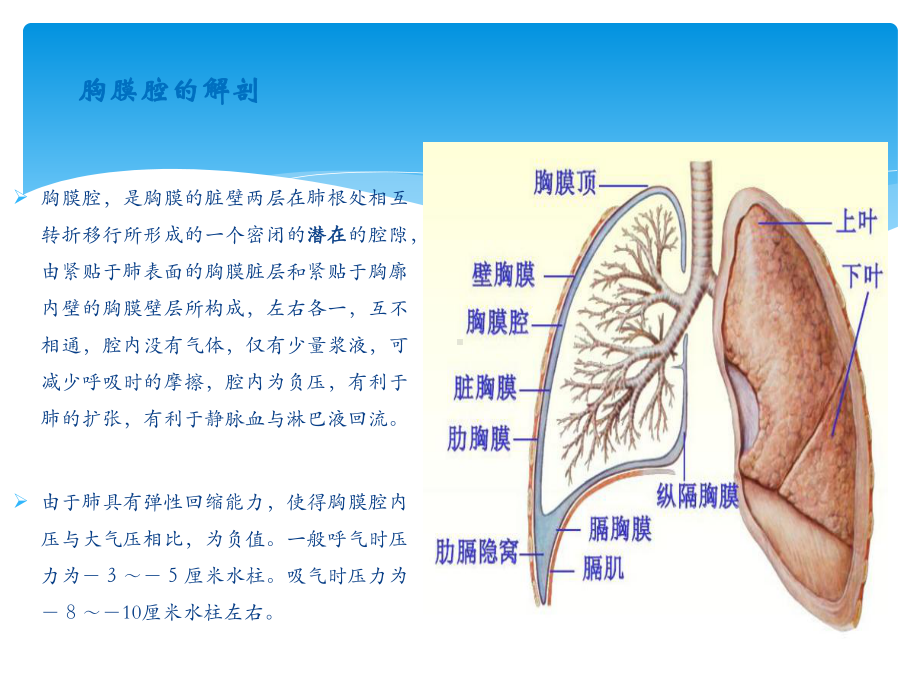 胸腔穿刺术实用讲解ppt课件.ppt_第3页